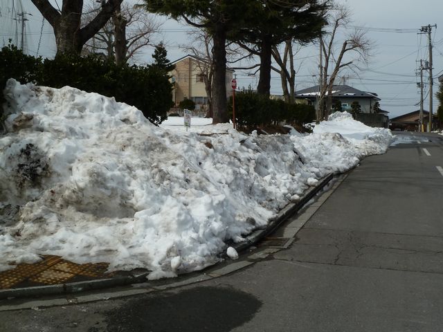 日本酒ショップくるみや近くまだ雪があります。