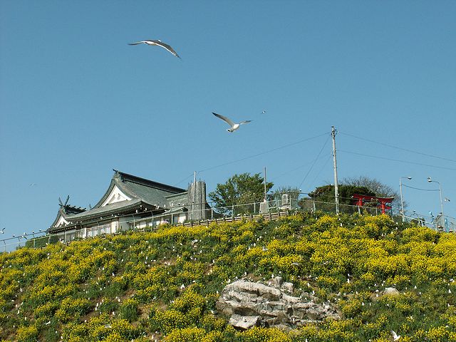 八戸の蕪島2011年5月　02　日本酒通販の日本酒ショップくるみや撮影