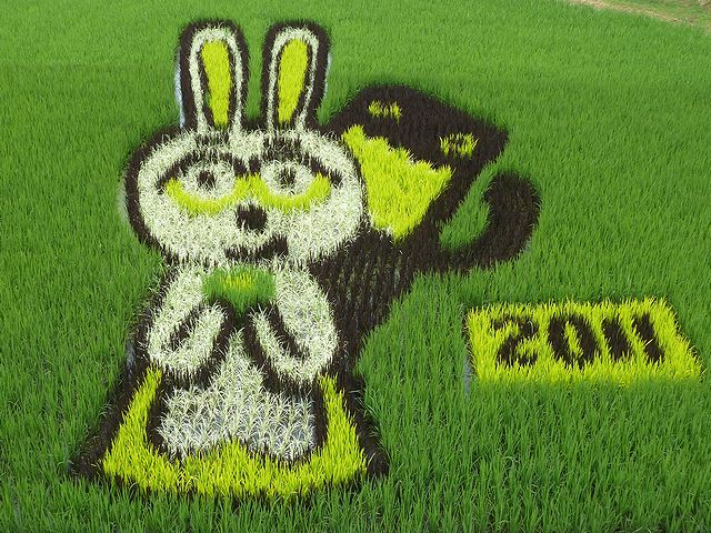 2011階上町田んぼアート　日本酒通販の日本酒ショップくるみや