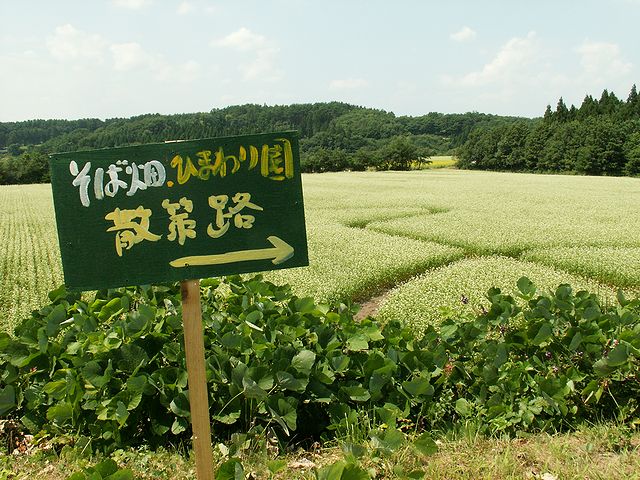 八戸市南郷区山の楽校　蕎麦の花　日本酒ショップくるみや