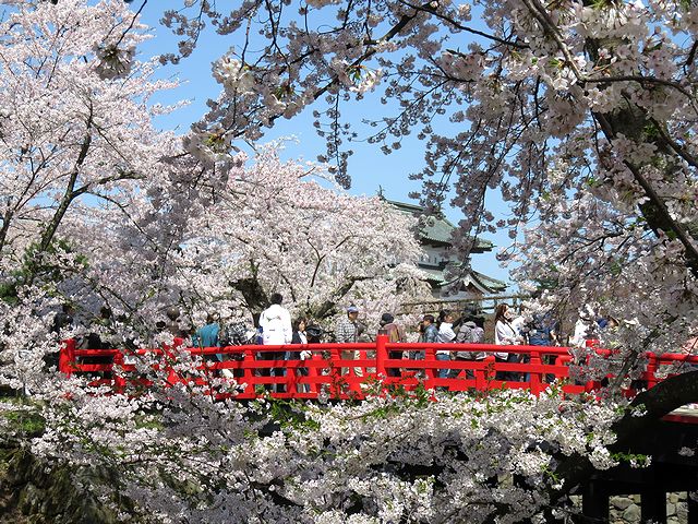 豊盃の三浦酒造　酒蔵見学　日本酒ショップくるみや