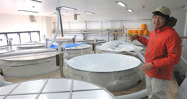 赤武AKABU 赤武酒造　岩手の地酒通販　日本酒ショップくるみや