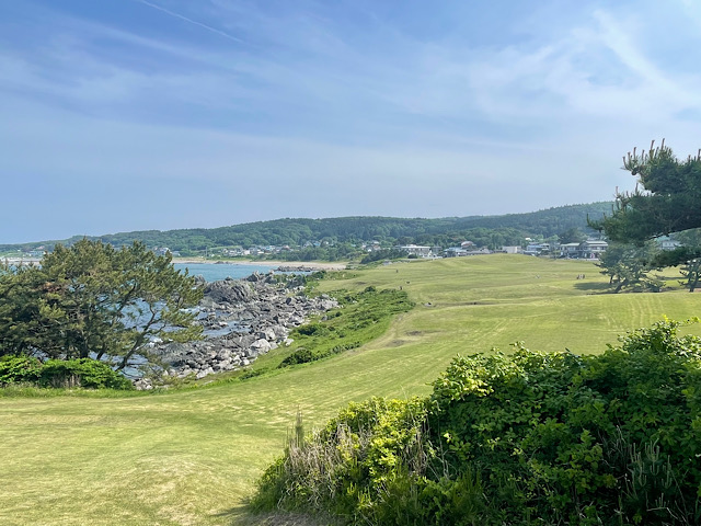 種差海岸2025