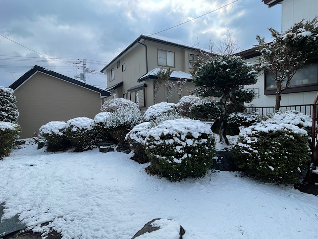彼岸じゃらく2026