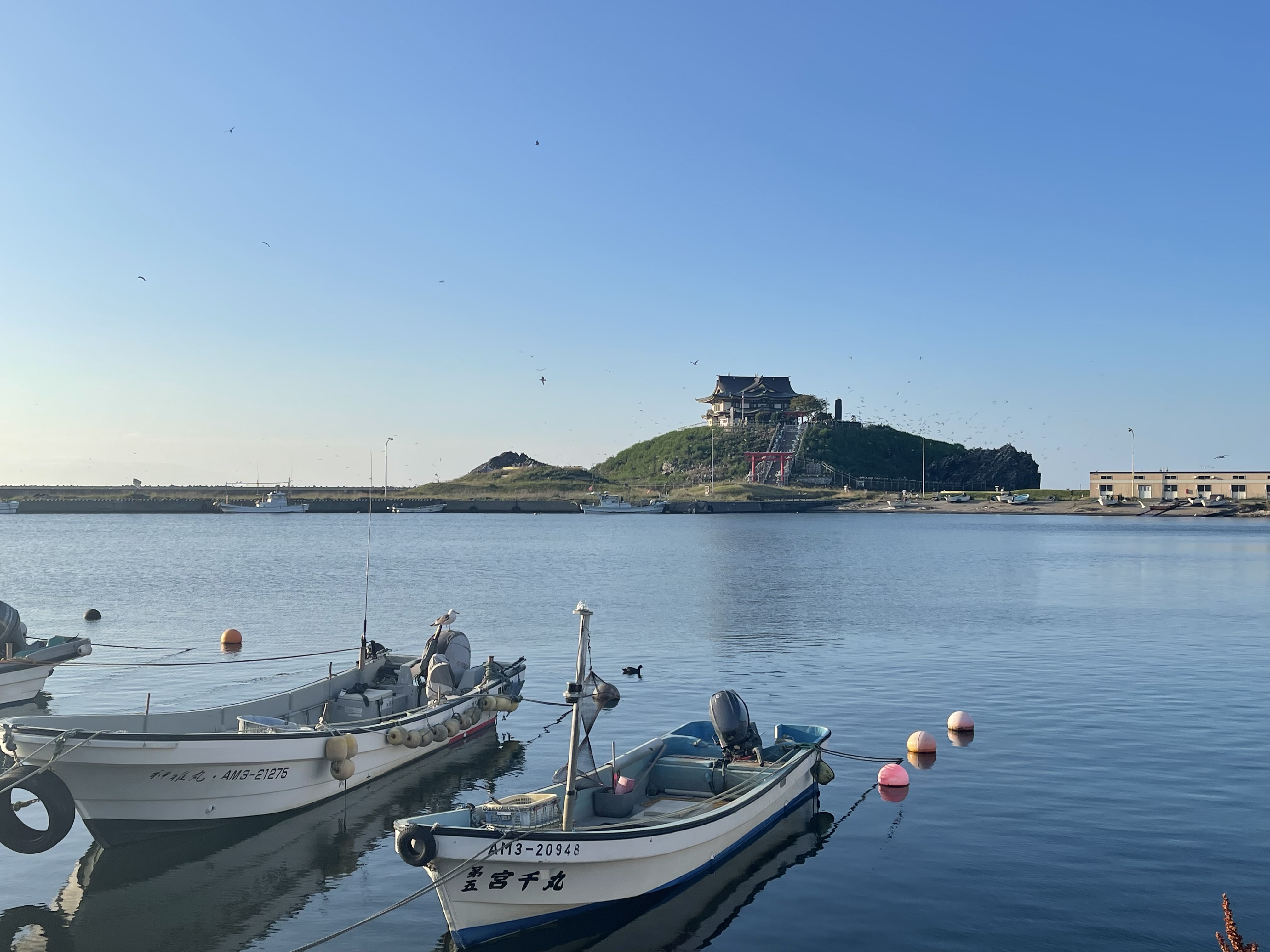 蕪島01