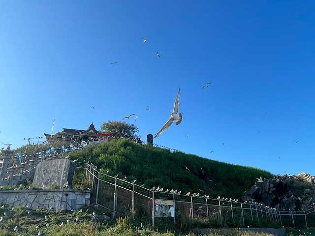 蕪島02