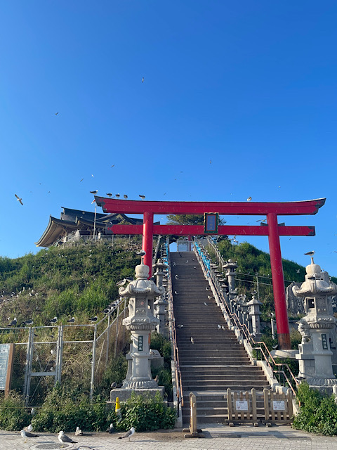 蕪島03