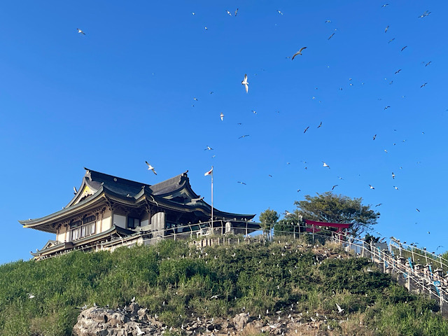 蕪島05