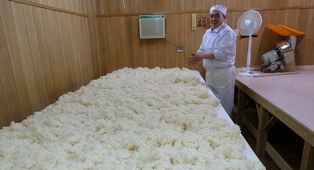 豊盃　弘前の地酒　日本酒ショップくるみやが通販